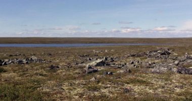 Colossus REE Project